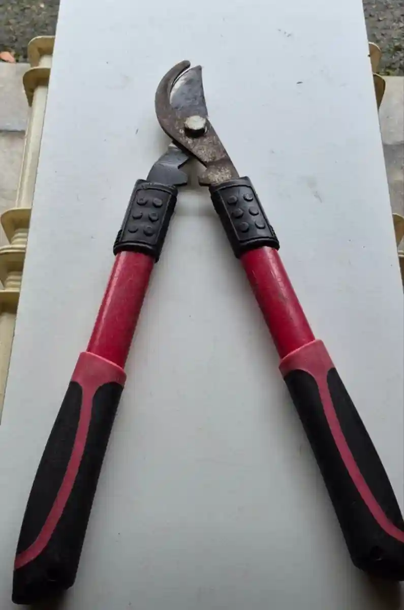 Kırmızı saplı budama makası