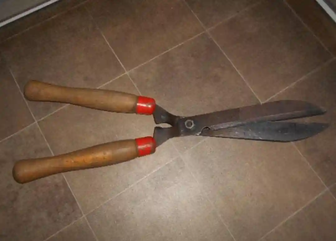 Ahşap saplı bahçe makası