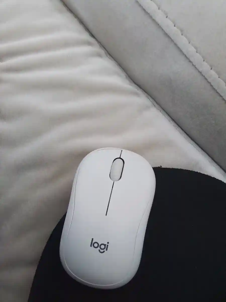 Logi mouse kablosuz