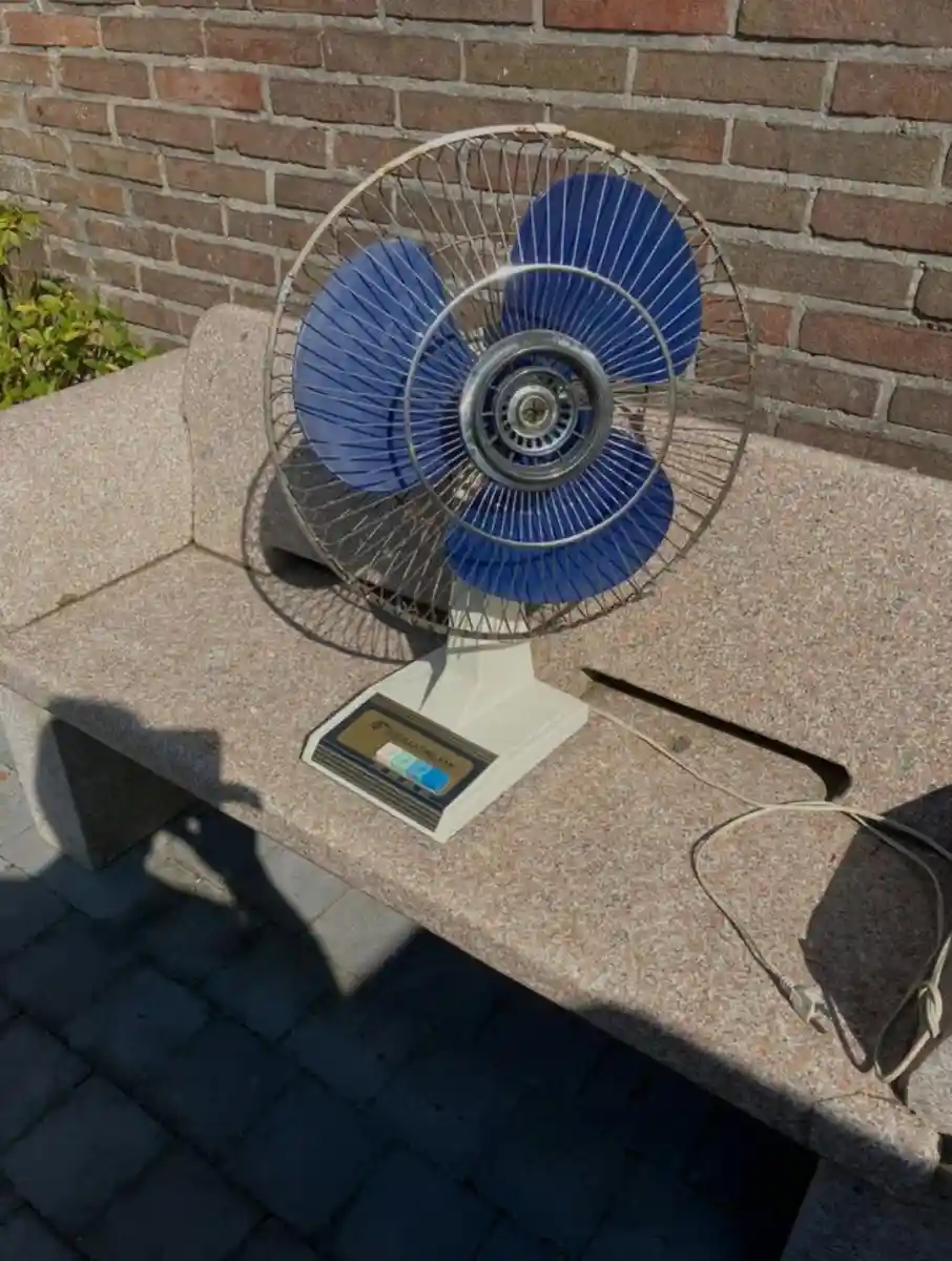 Mavi kanatlı fan satılık