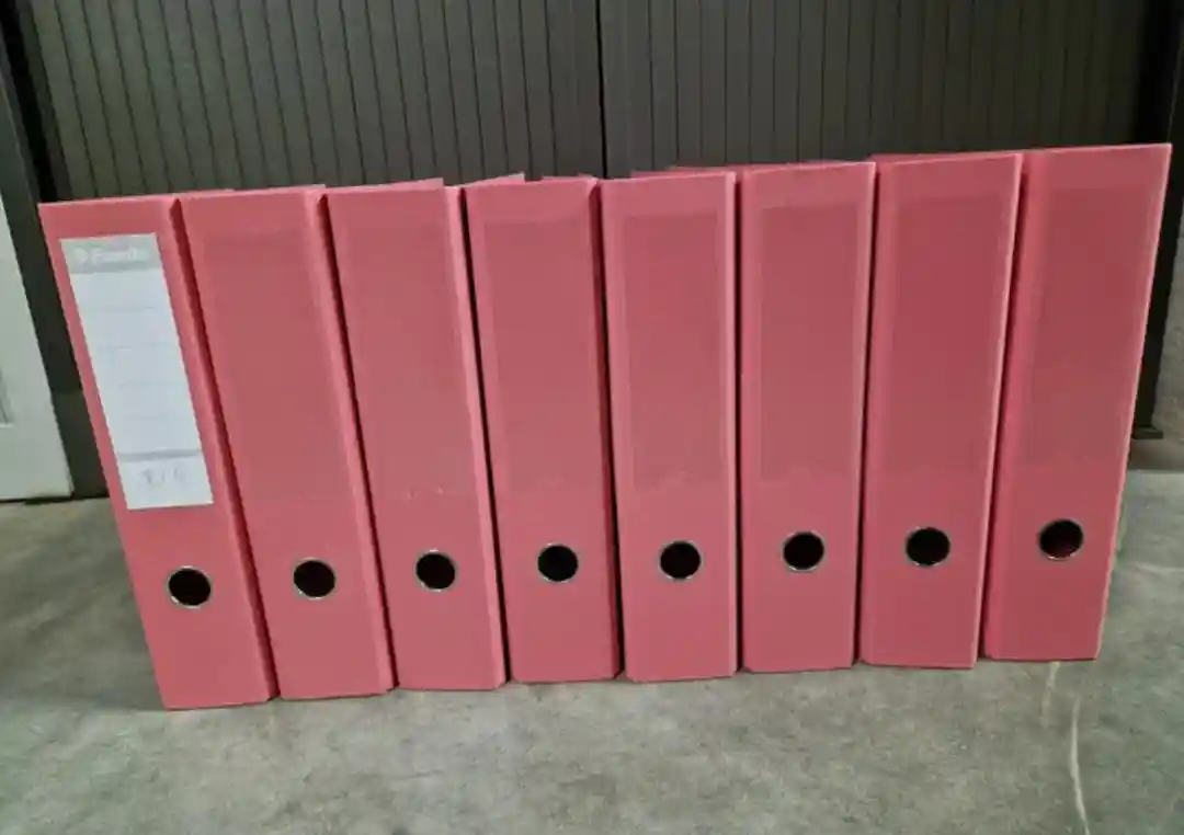 Pembe dosya seti - 8 adet