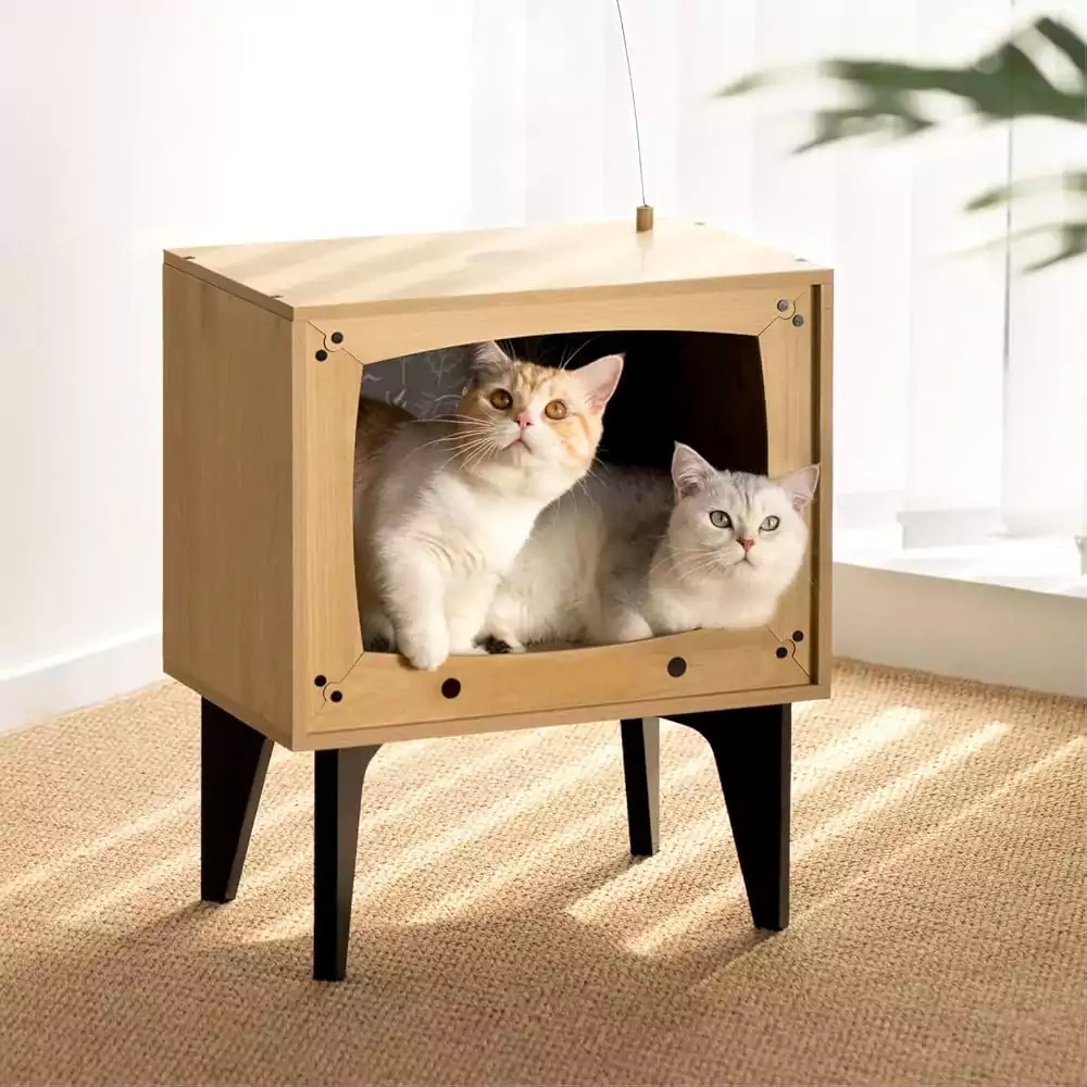 Kedi evi ahşap