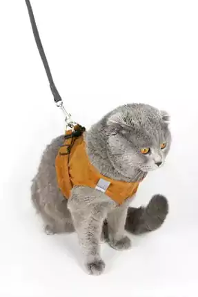 Kedi tasması ve seti (kişiye özel tasarım)