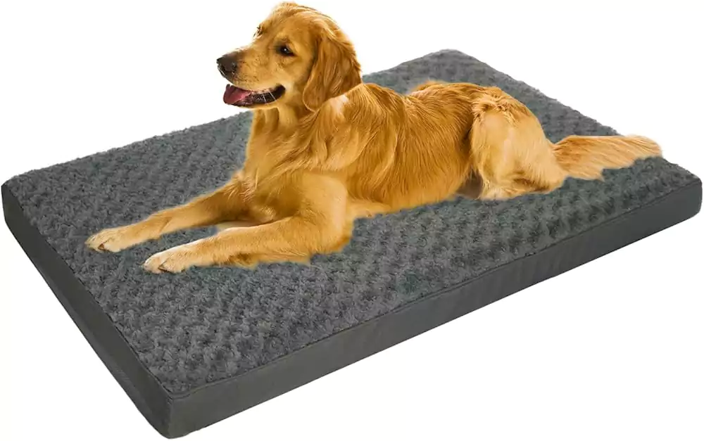 Ortopedik köpek yatağı