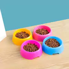 Evcil hayvan mama ve malzeme satışı