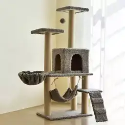 Kedi tırmalama tahtası ve oyun evi