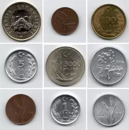 Koleksiyonluk eski madeni para seti