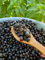 Organik siyah zeytin (1 kg)